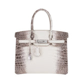 Birkin 30 Bag Diamond Himalaya Blanc Matte Niloticus Crocodile with 18k White Gold Hardware