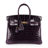 Birkin 25 Bag Aubergine Niloticus Crocodile with Gold Hardware