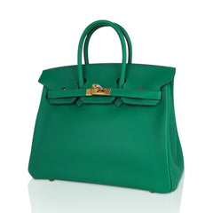 Birkin 25 Bag in Cactus Swift Leather with Gold Hardware