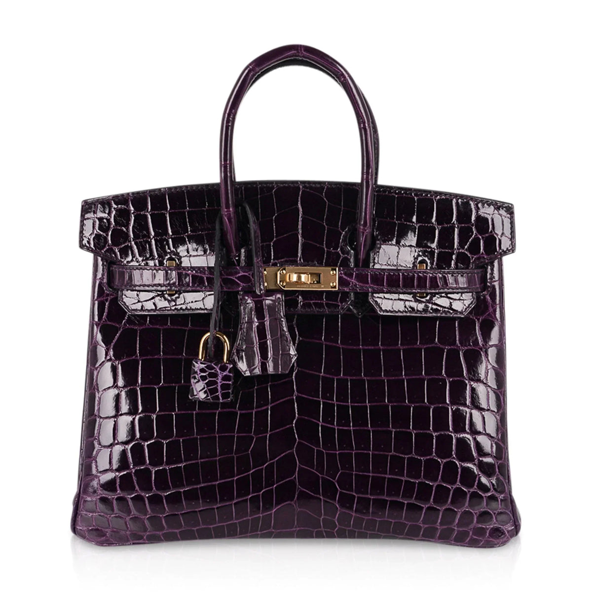 Birkin 25 Bag Aubergine Niloticus Crocodile with Gold Hardware