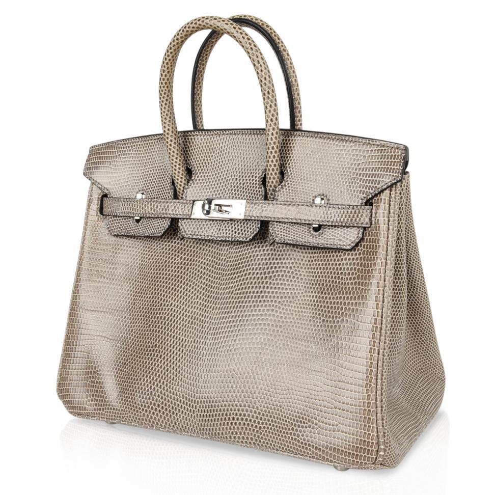 Birkin 25 Bag Gris Agate Lizard Palladium Hardware VERY Rare