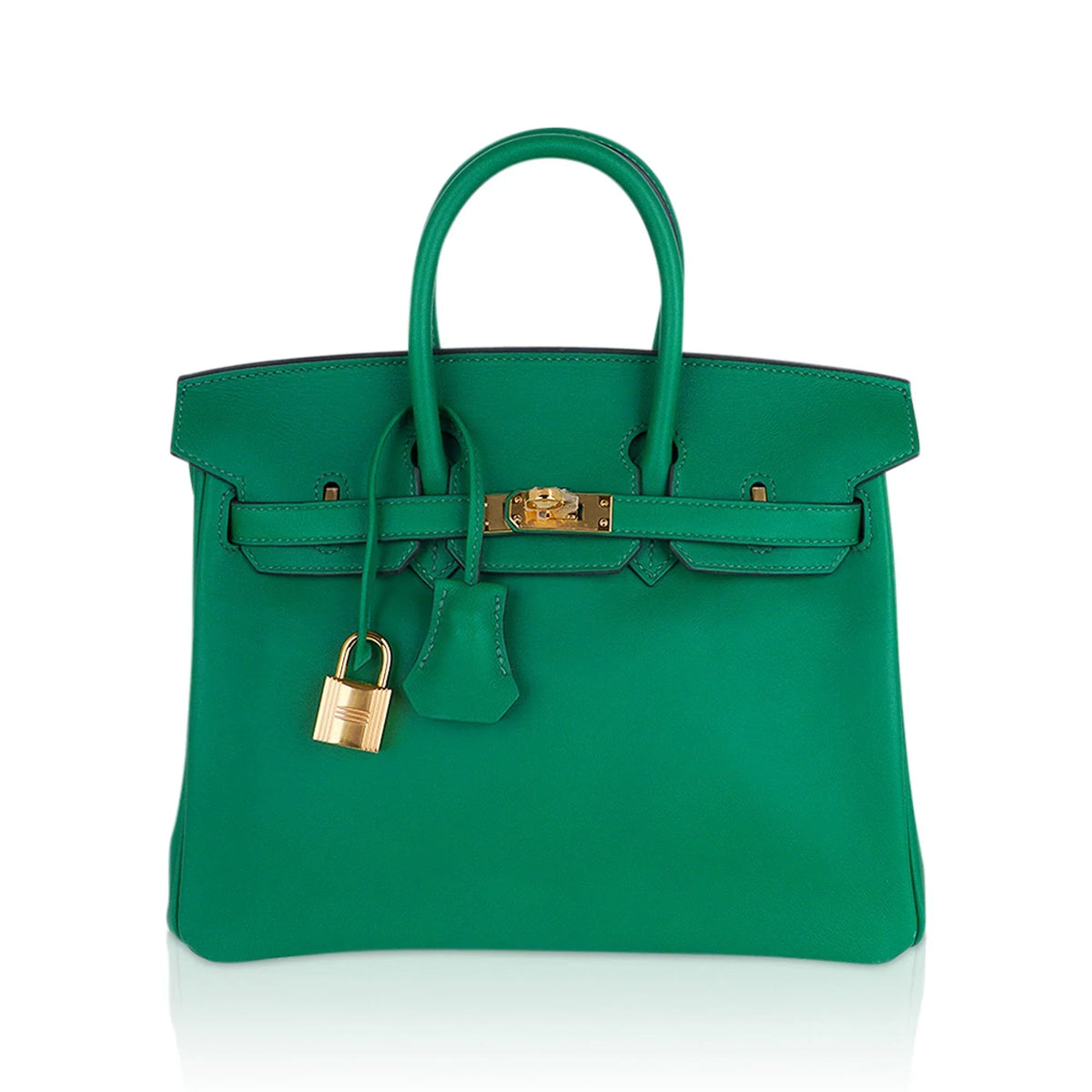 Birkin 25 Bag in Cactus Swift Leather with Gold Hardware