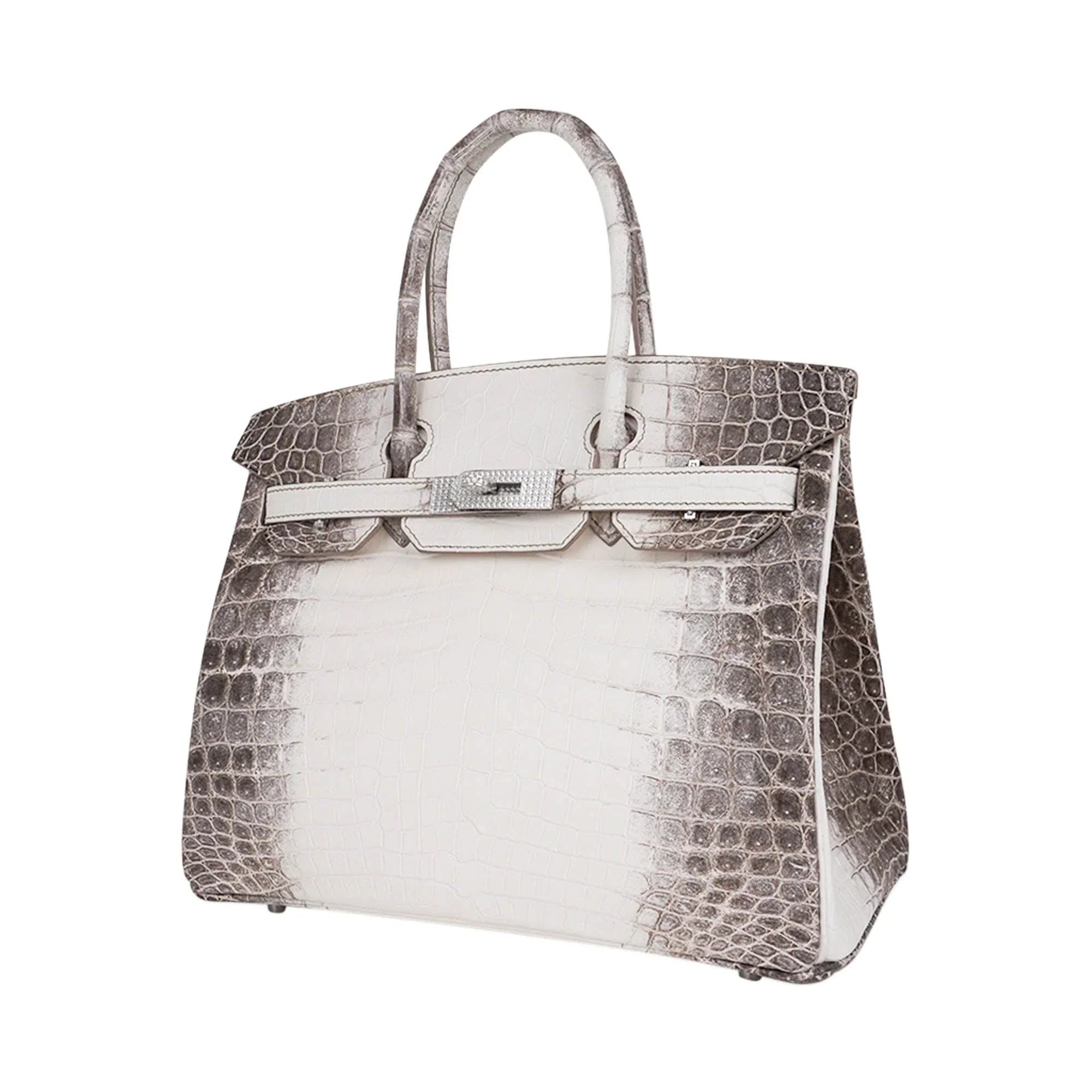 Birkin 30 Bag Diamond Himalaya Blanc Matte Niloticus Crocodile with 18k White Gold Hardware